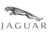 Jaguar dla kosmetyki