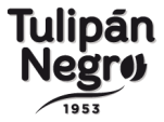Tulipán Negro dla mężczyzna