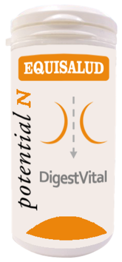 Digessvital 60 kapsułek Digessvital 60 kapsułek