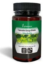 Ginkgo Biloba Capsudiet 40 kapsułek