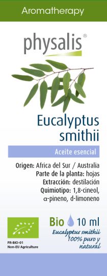 Esencja Eucalyptus Smithii 10 ml