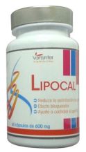 Lispocal 600 mg 60 kapsułek