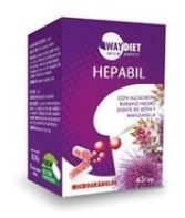 Hepabil 45 kapsułek Hepabil 45 kapsułek