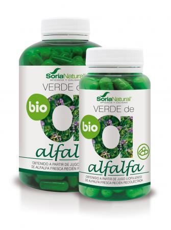 Zielona czapka Alfalfa 80 Zielona czapka Alfalfa 80