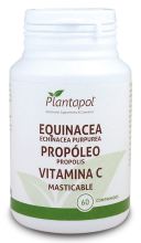 Echinacea Propolis Witamina C 60 tabletek Echinacea Propolis Witamina C 60 tabletek