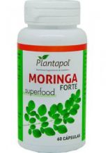 Moringa Forte 60 kapsułek