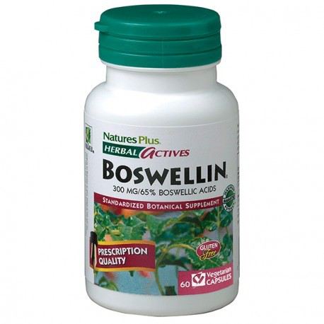 Boswellin 300mg 60 kapsułek Boswellin 300mg 60 kapsułek