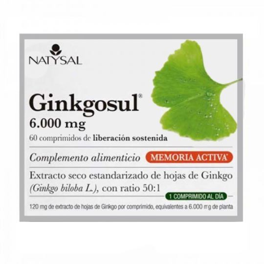 Natysal Ginkgosul 60 kapsułek