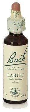 Bach 19 Modrzew 20 ml Bach 19 Modrzew 20 ml