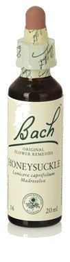 Bach 16 Wiciokrzew 20 ml Bach 16 Wiciokrzew 20 ml