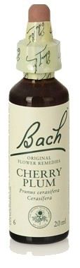 Bach 6 Śliwka Wiśniowa 20 ml Bach 6 Śliwka Wiśniowa 20 ml