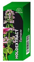 Holoextract Echinacea 50 ml Holoextract Echinacea 50 ml