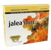 Galaretka Forte 16 ampułek x 10 ml Galaretka Forte 16 ampułek x 10 ml