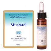 Fm 21 Musztarda 10 ml