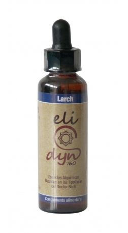 Modrzew elidyn 20ml Celidyn Modrzew elidyn 20ml Celidyn