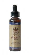 Modrzew elidyn 20ml Celidyn Modrzew elidyn 20ml Celidyn