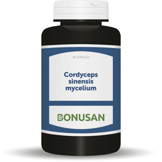 Grzybnia Cordyceps sinensis Grzybnia Cordyceps sinensis