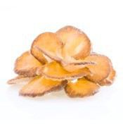 Maitake - Grifola Frondosa 60 kapsułek Maitake - Grifola Frondosa 60 kapsułek