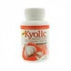 Kyolic Formula 103 Immune 100 kapsułek Kyolic Formula 103 Immune 100 kapsułek