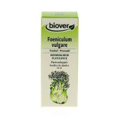 Foeniculum Vulgare Koper włoski 50 ml Foeniculum Vulgare Koper włoski 50 ml
