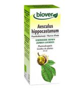 Kasztan Aesculus Hippocastanum 50 ml Kasztan Aesculus Hippocastanum 50 ml