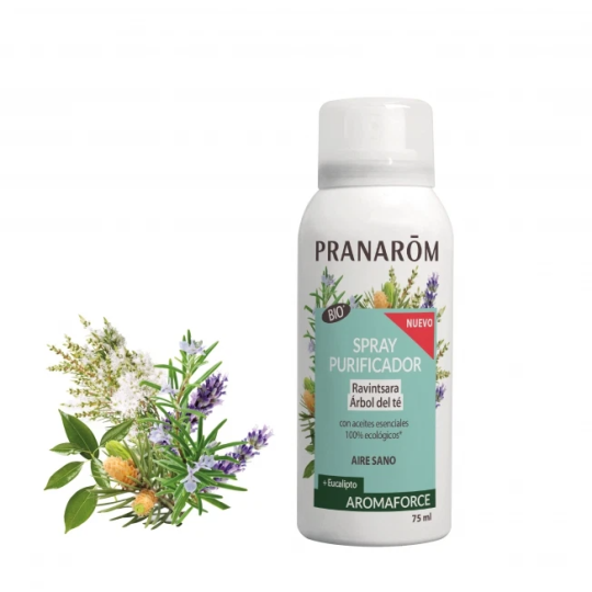 Oczyszczający Spray Ravintsara Eucalyptus Bio eco