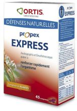 Elementy Propex Express 45 Elementy Propex Express 45